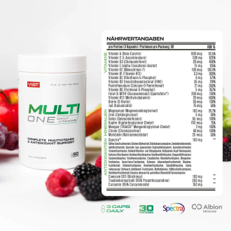 Complex Multivitamine si Antioxidanti VAST Multi One 90 capsule