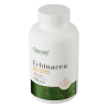 OstroVit Echinacea VEGE 90 capsule