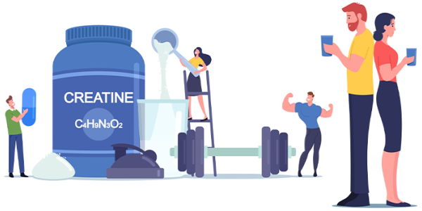 Creatina: Ce este și cum funcționează în organism?